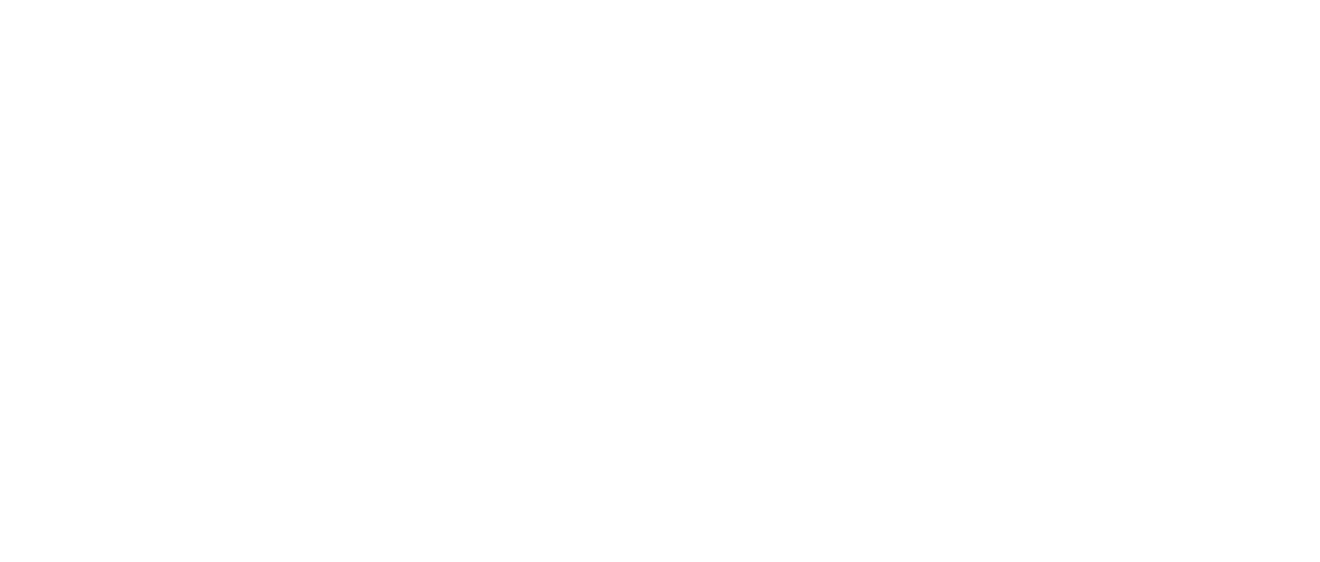 The Soultwin Lab
